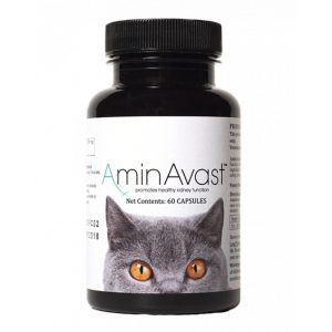 AminAvast Katt