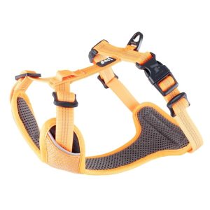 Feel Active Reflective Hundsele Orange (L)