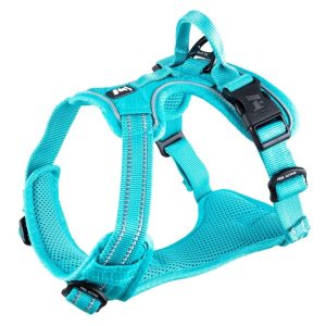 Feel Active Training Hundsele Turkos (XL)