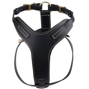 Feel Leather Sturdy Hundsele Läder Svart (M)