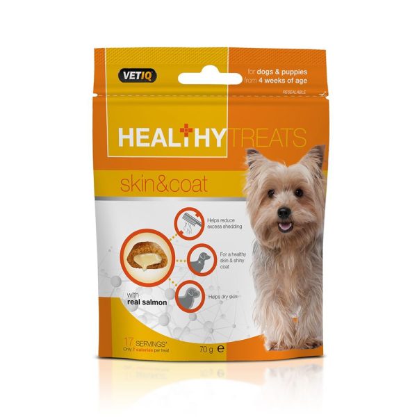 Healthy Treats Skin & Coat 70 g