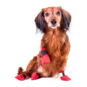 Non-stop Dogwear Long Distance Bootie 4-pack (M)