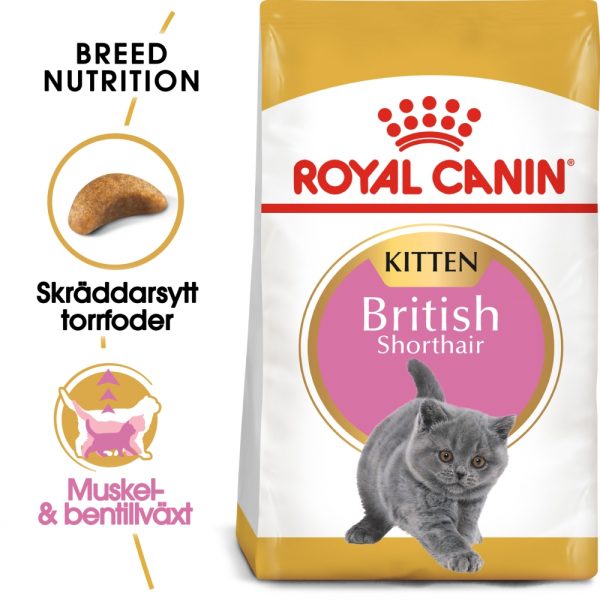 Royal Canin British Shorthair Kitten (2 kg)