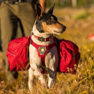 RuffWear Palisades Klövjeväska Röd (L/XL)