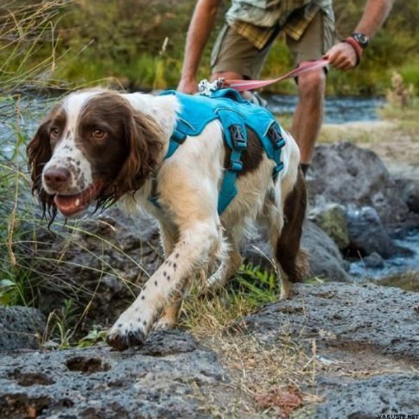 RuffWear Web Master Hundsele Blå (M)