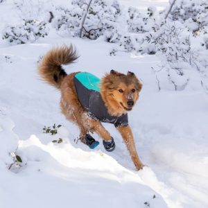 Ruffwear Cloud Chaser Hundjacka Turkos (L)