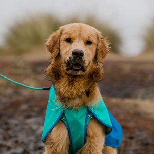 Ruffwear Sun Shower Regnjacka Ljusblå (L)