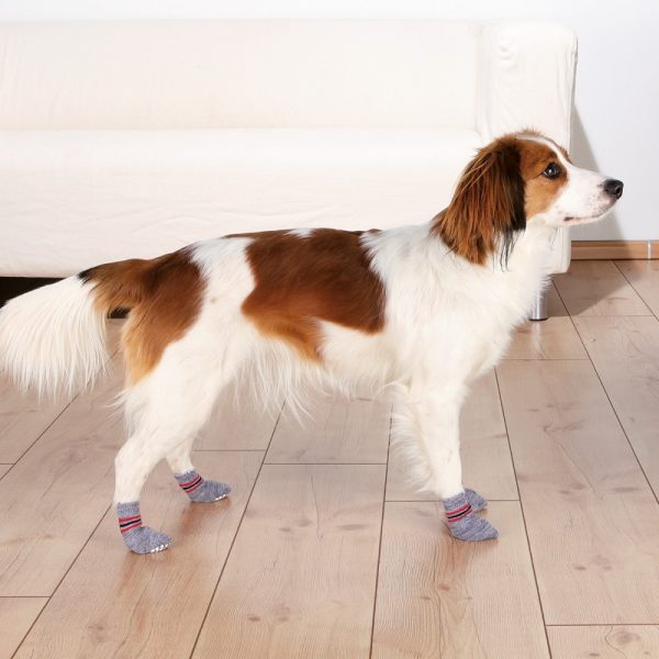 Trixie Hundsockor Non-slip 2-pack (M - L)